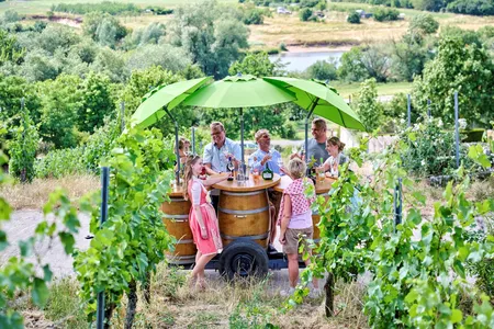 Kolitzheim_Stammheim_Weinbergsführung_F.Trykowski